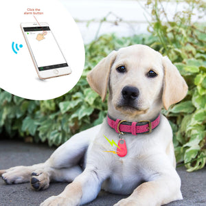 PawTracker™ - Bluetooth Pet Tracker